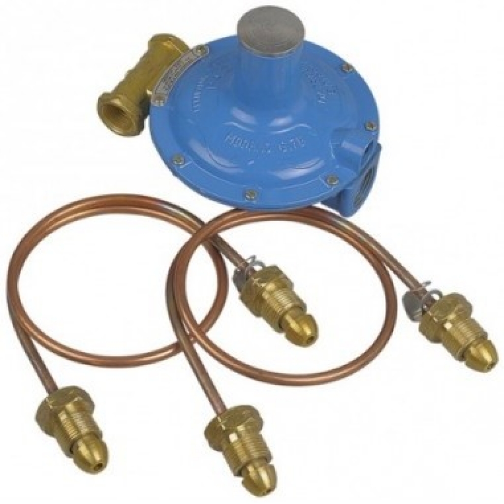 Regulador Gas Envasado c/2 Flexibles